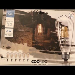 Vintage look LED Edison Light Bulbs 60W pack of 6